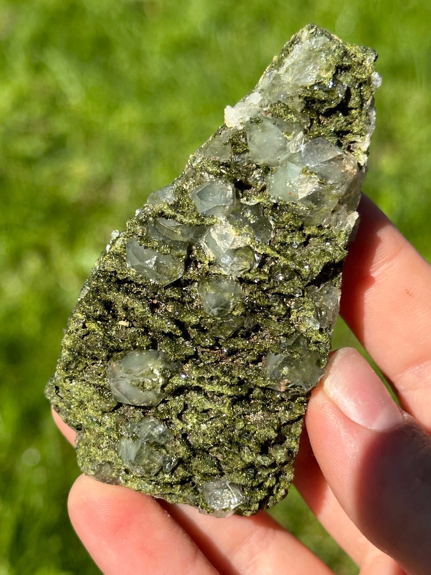 Forest epidote