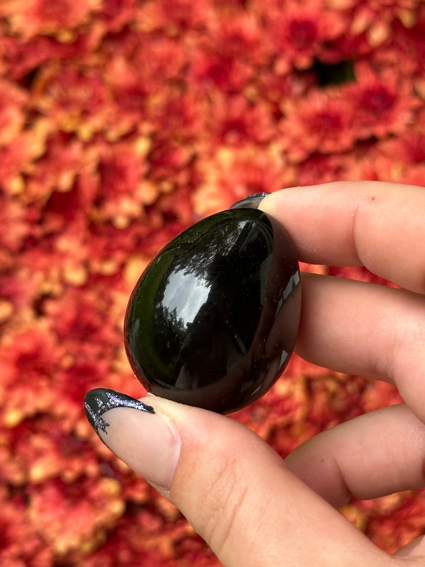 Obsidian Egg