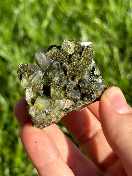 Forest epidote