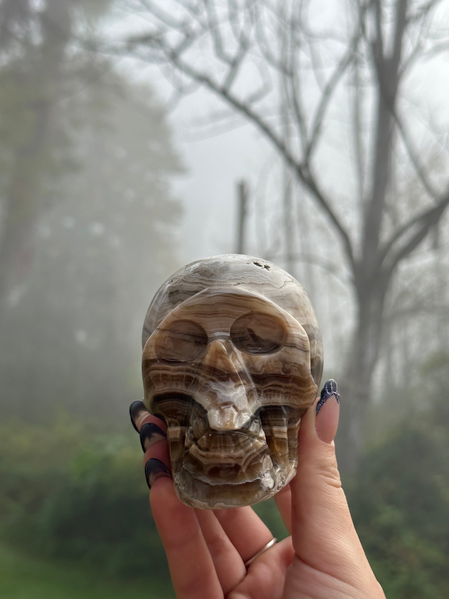 Chocolate calcite skull