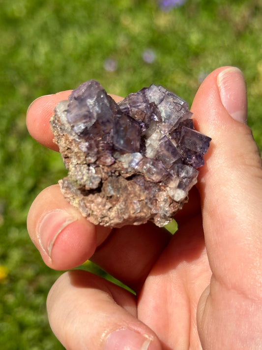 Colorado fluorite