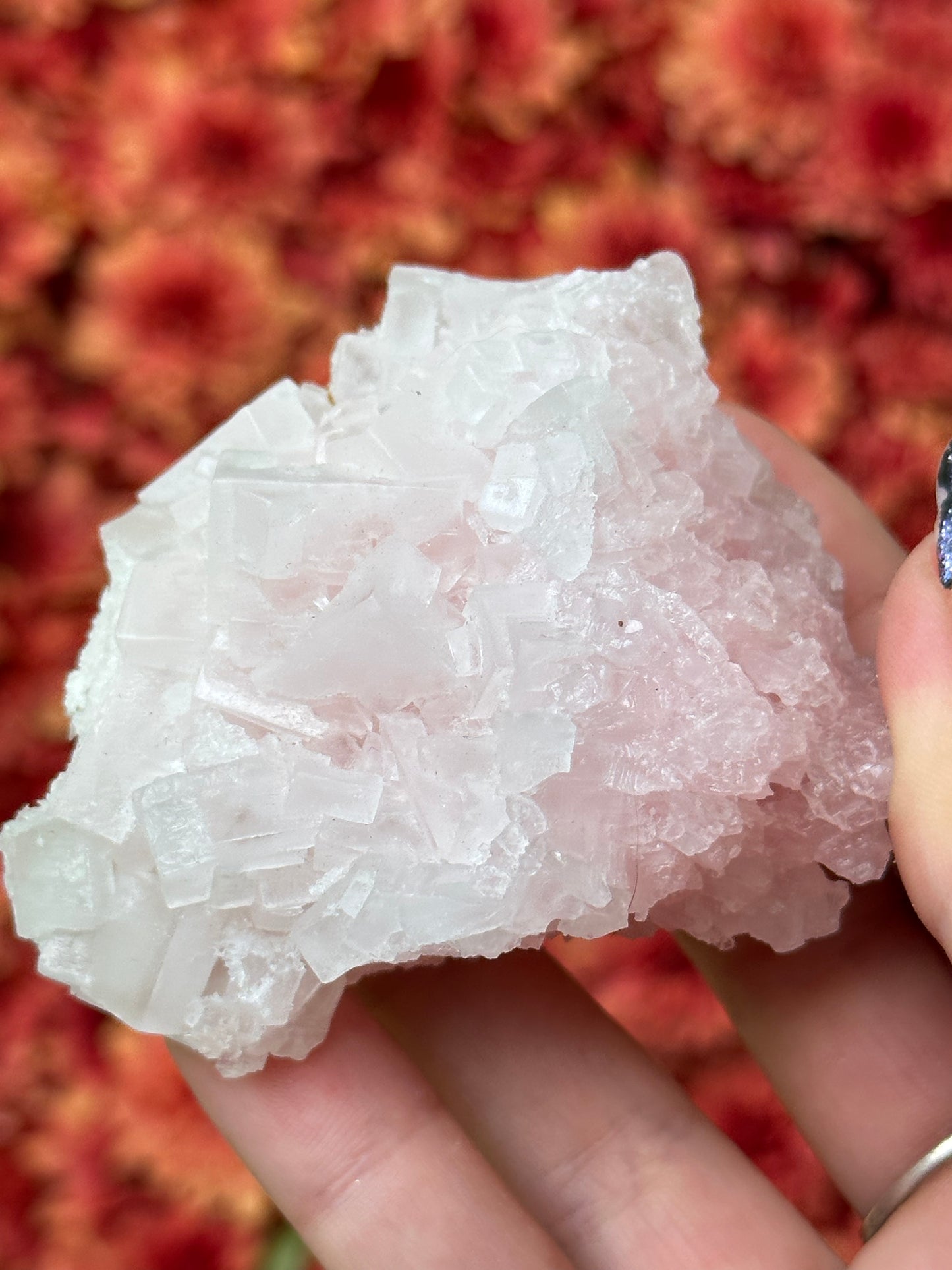 Pink Halite