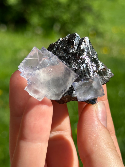 Elmwood fluorite on sphalerite
