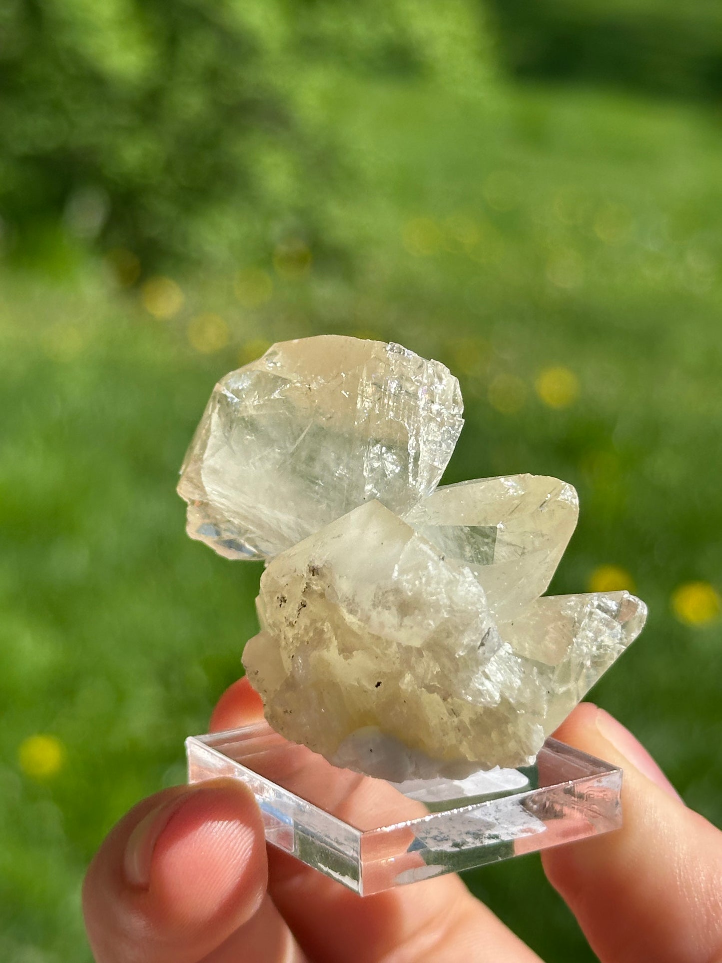 Elmwood calcite