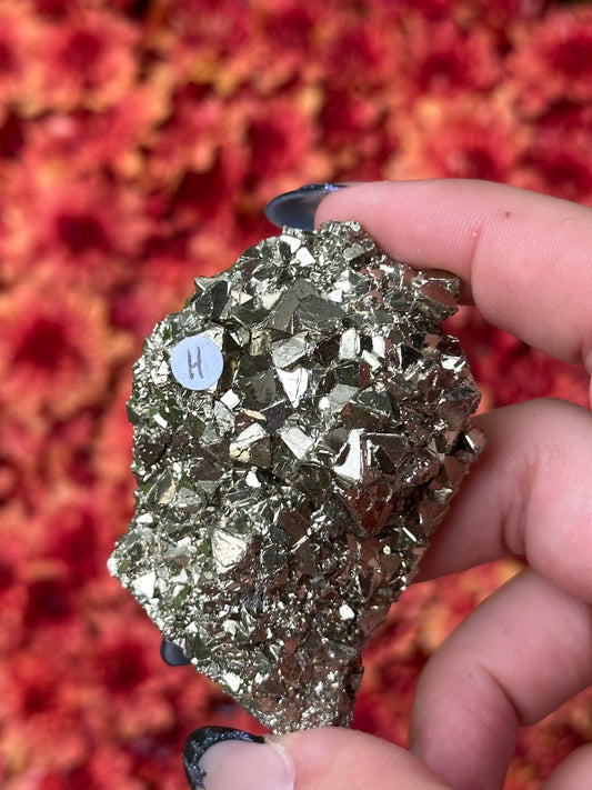 Octahedron Pyrite