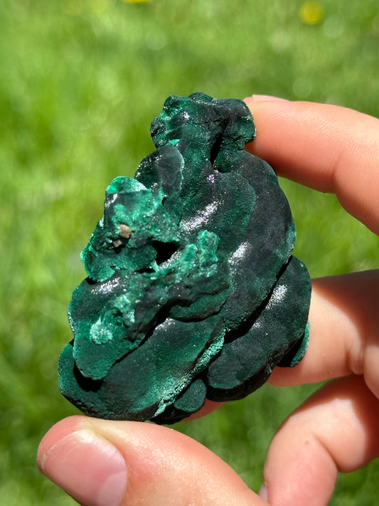 Velvet malachite