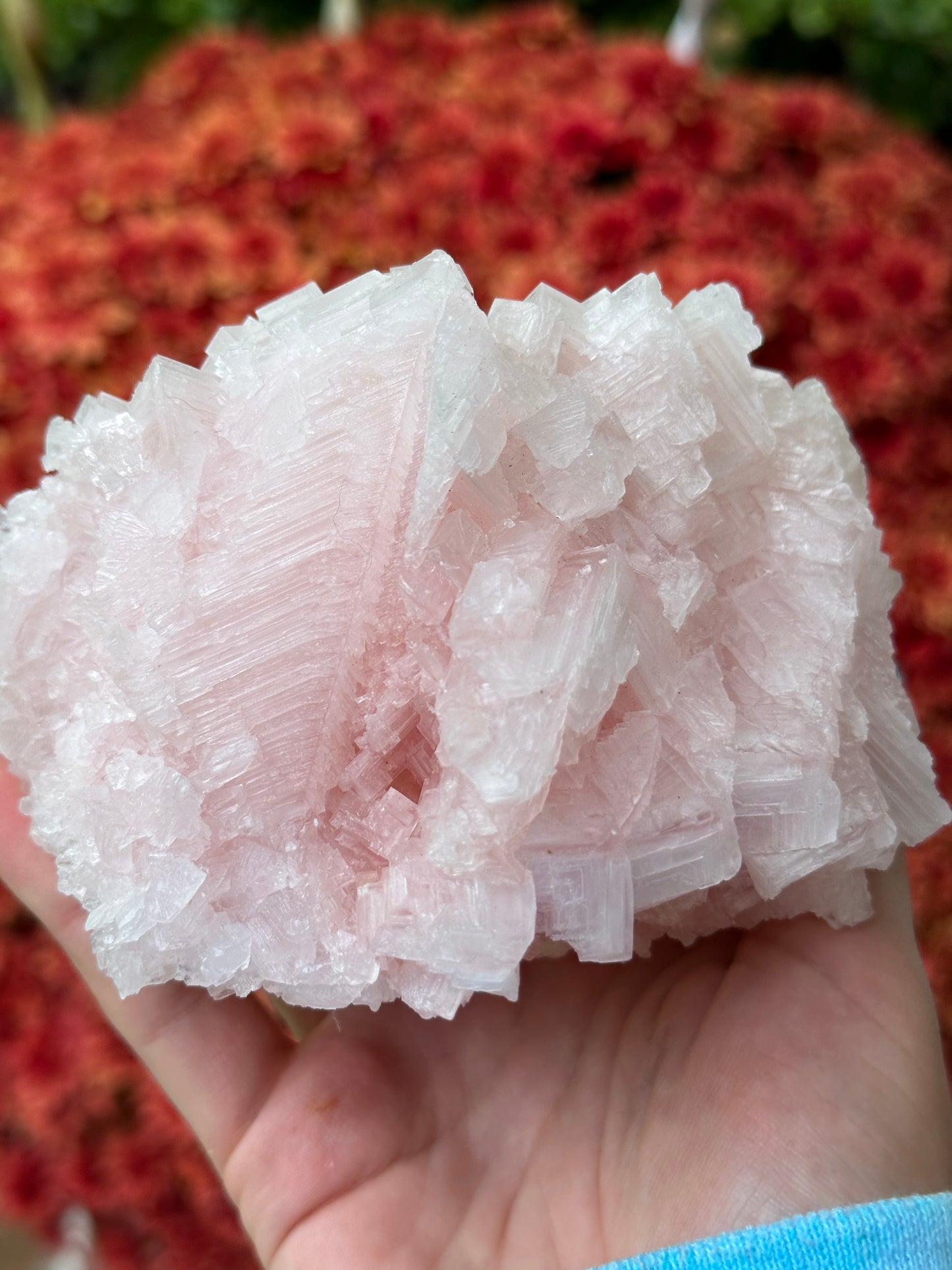 Pink Halite