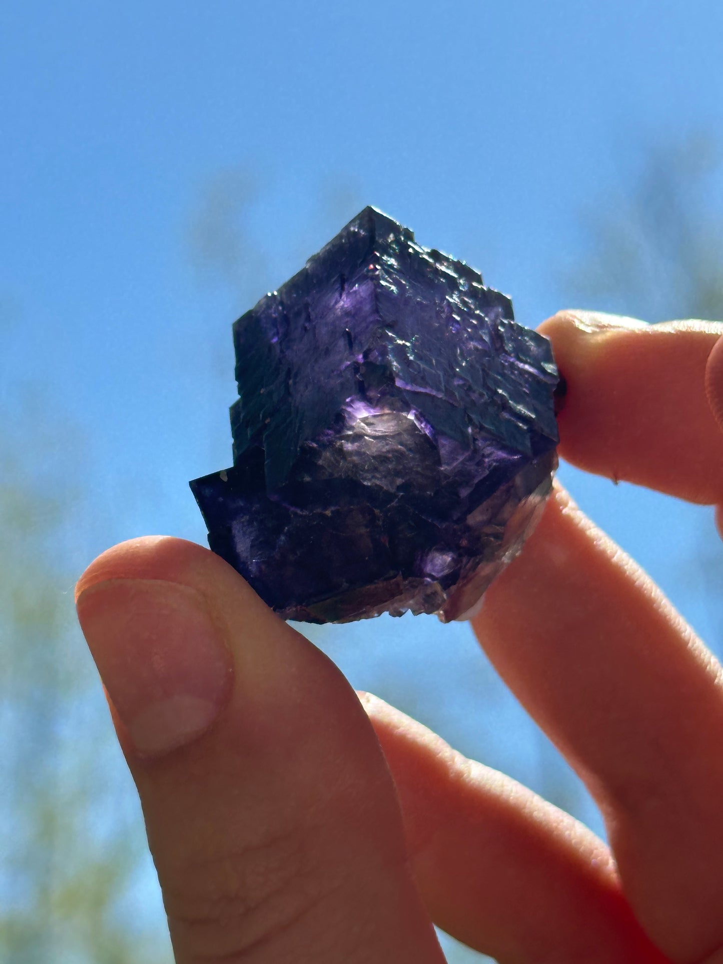 Elmwood fluorite