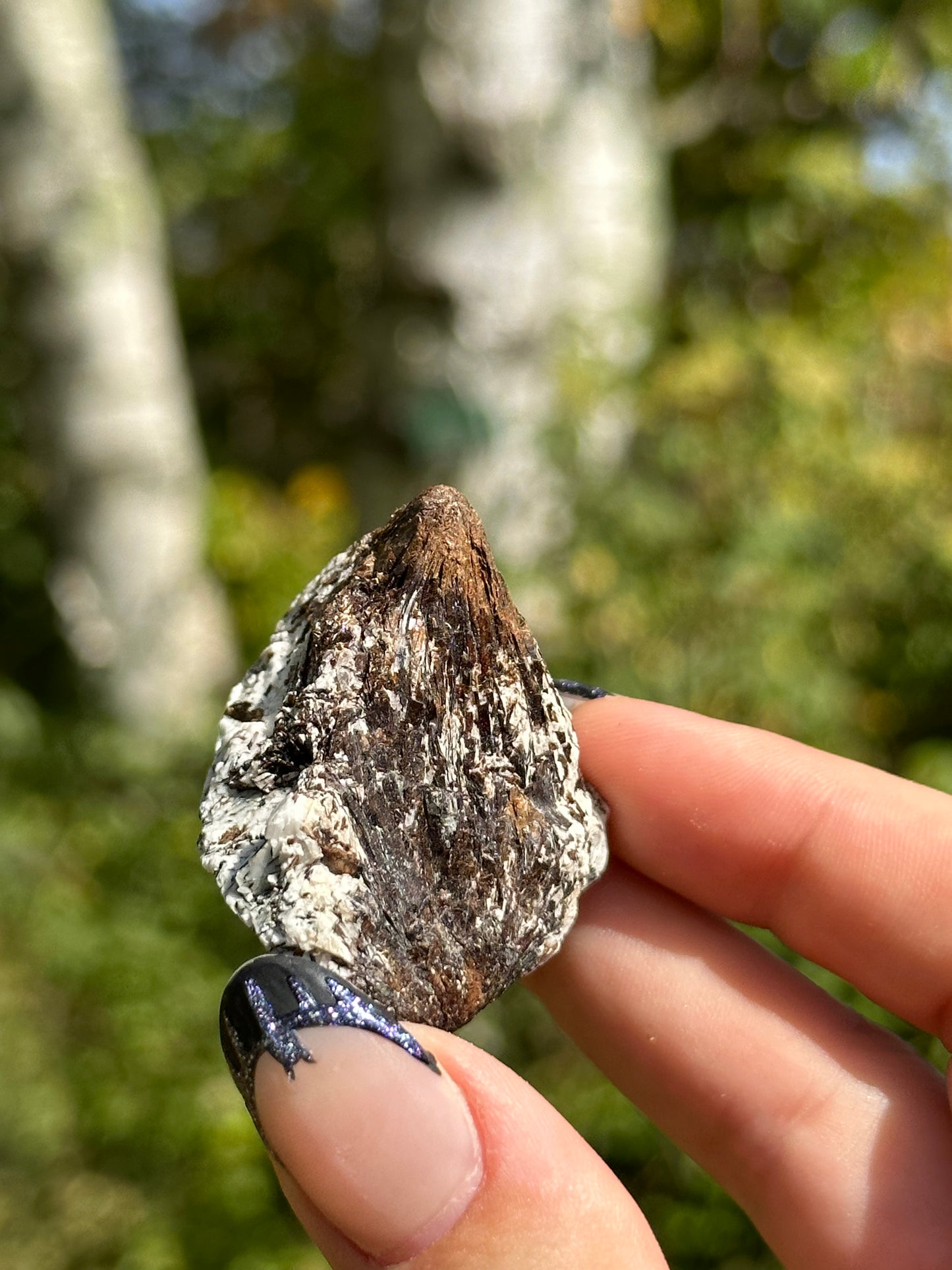 Astrophyllite