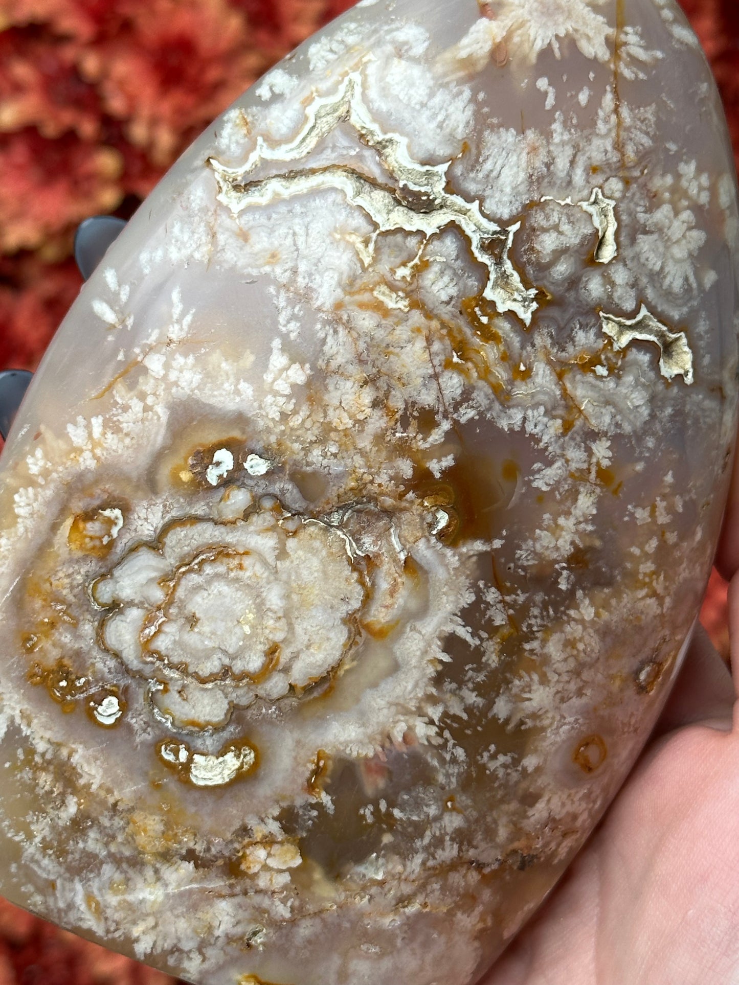 Flower Agate with Carnelian Freeform