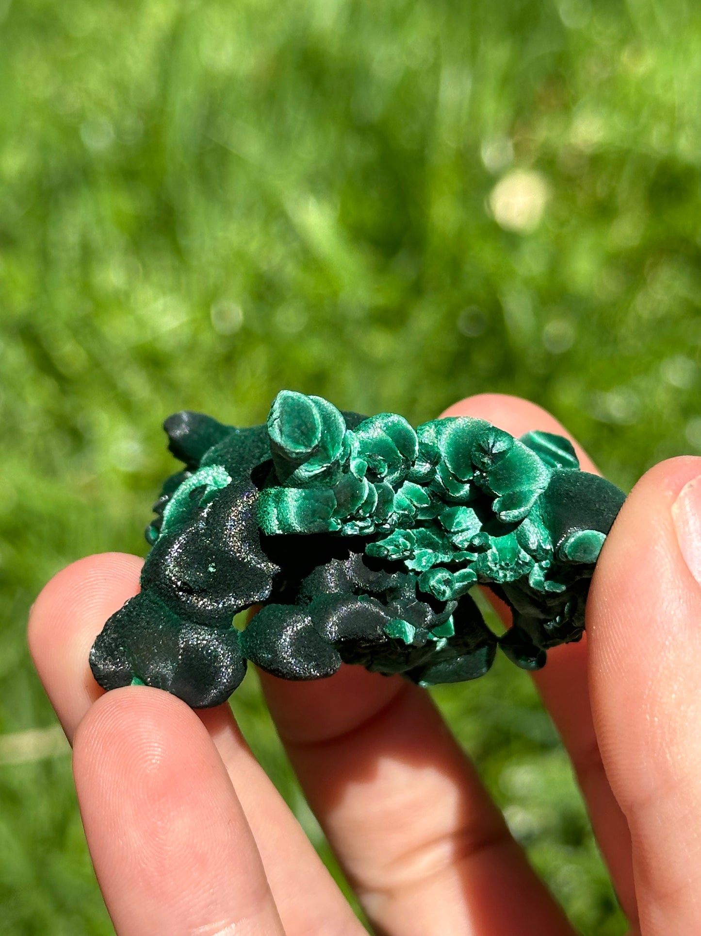 Velvet malachite