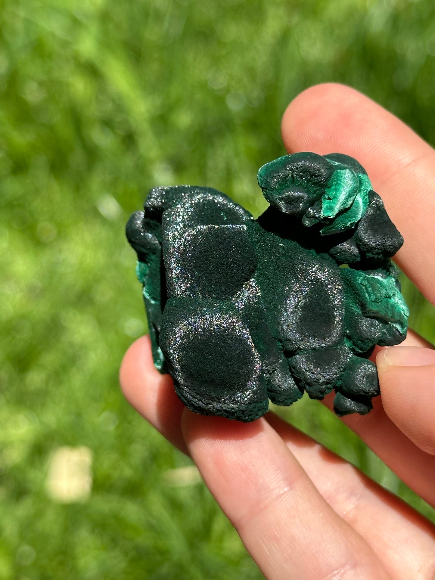 Velvet malachite