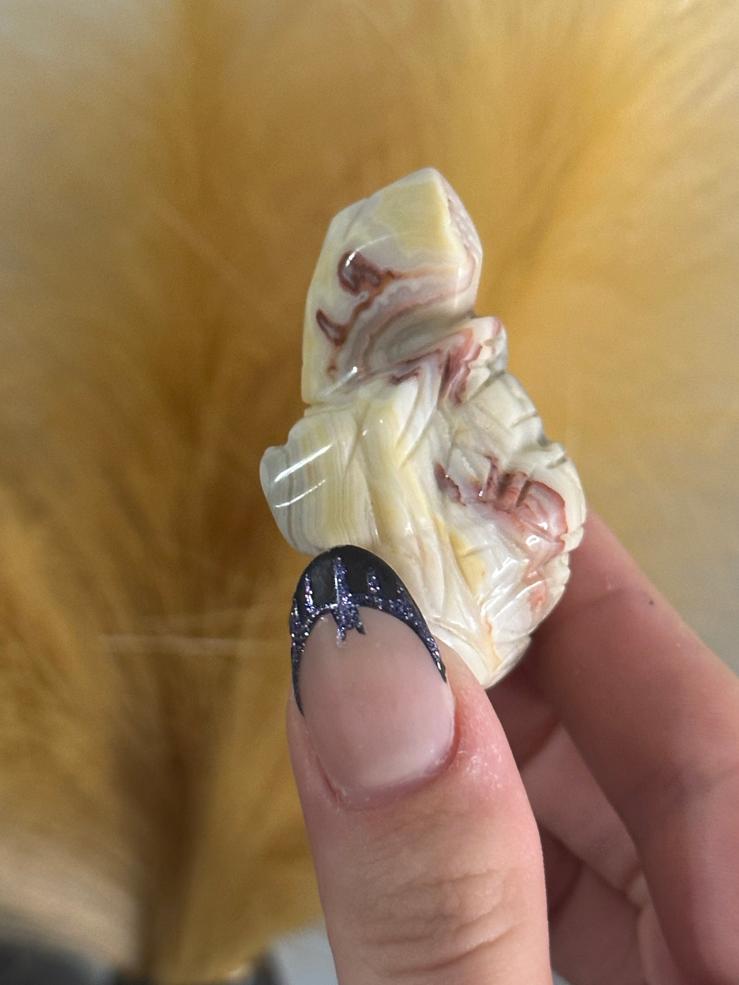 Crazy Lace Agate Tortoise