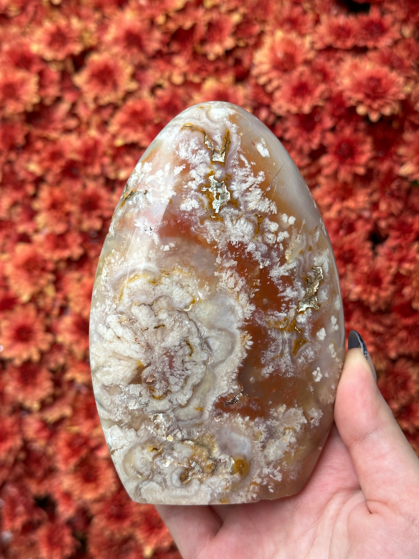 Flower Agate with Carnelian Freeform