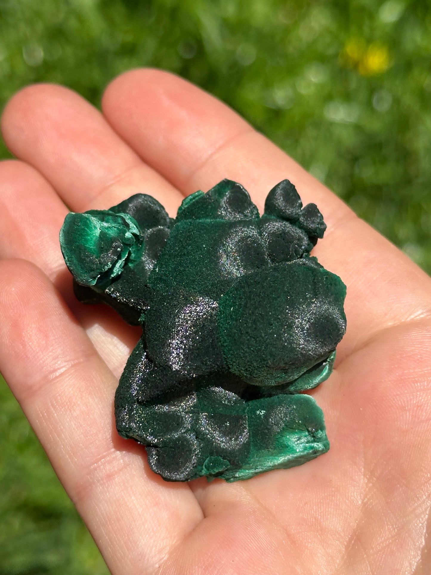 Velvet malachite