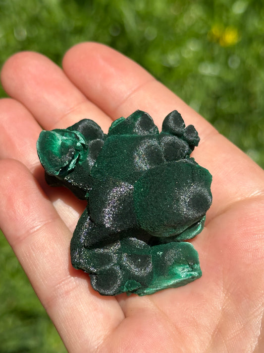 Velvet malachite