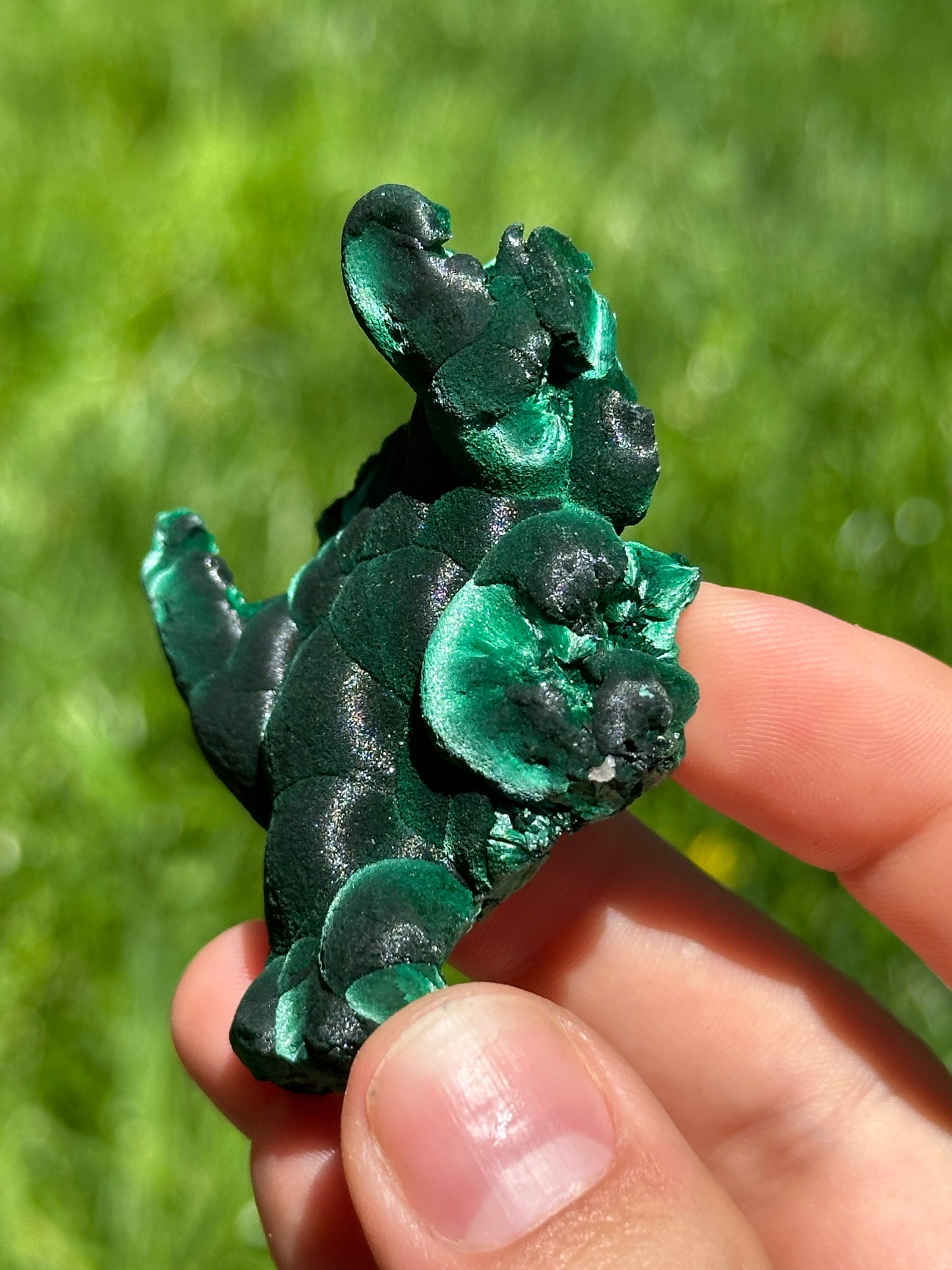 Velvet malachite