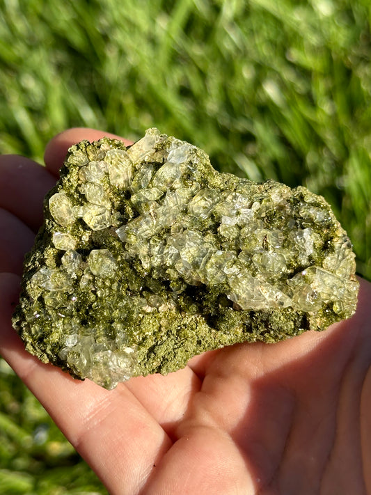 Forest epidote