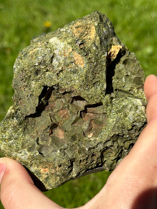 Forest epidote