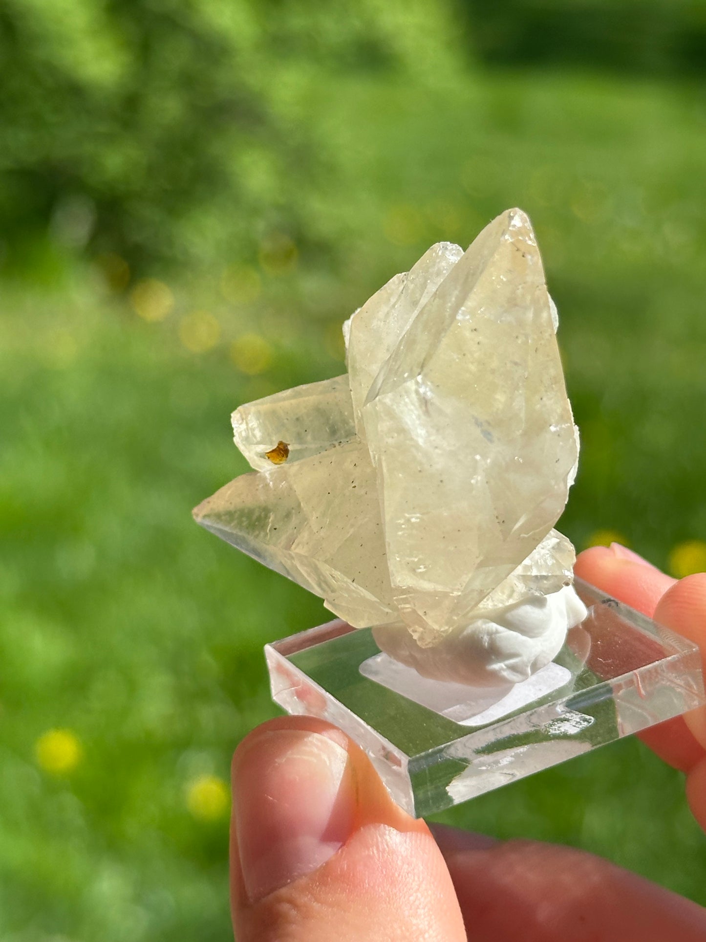 Elmwood calcite