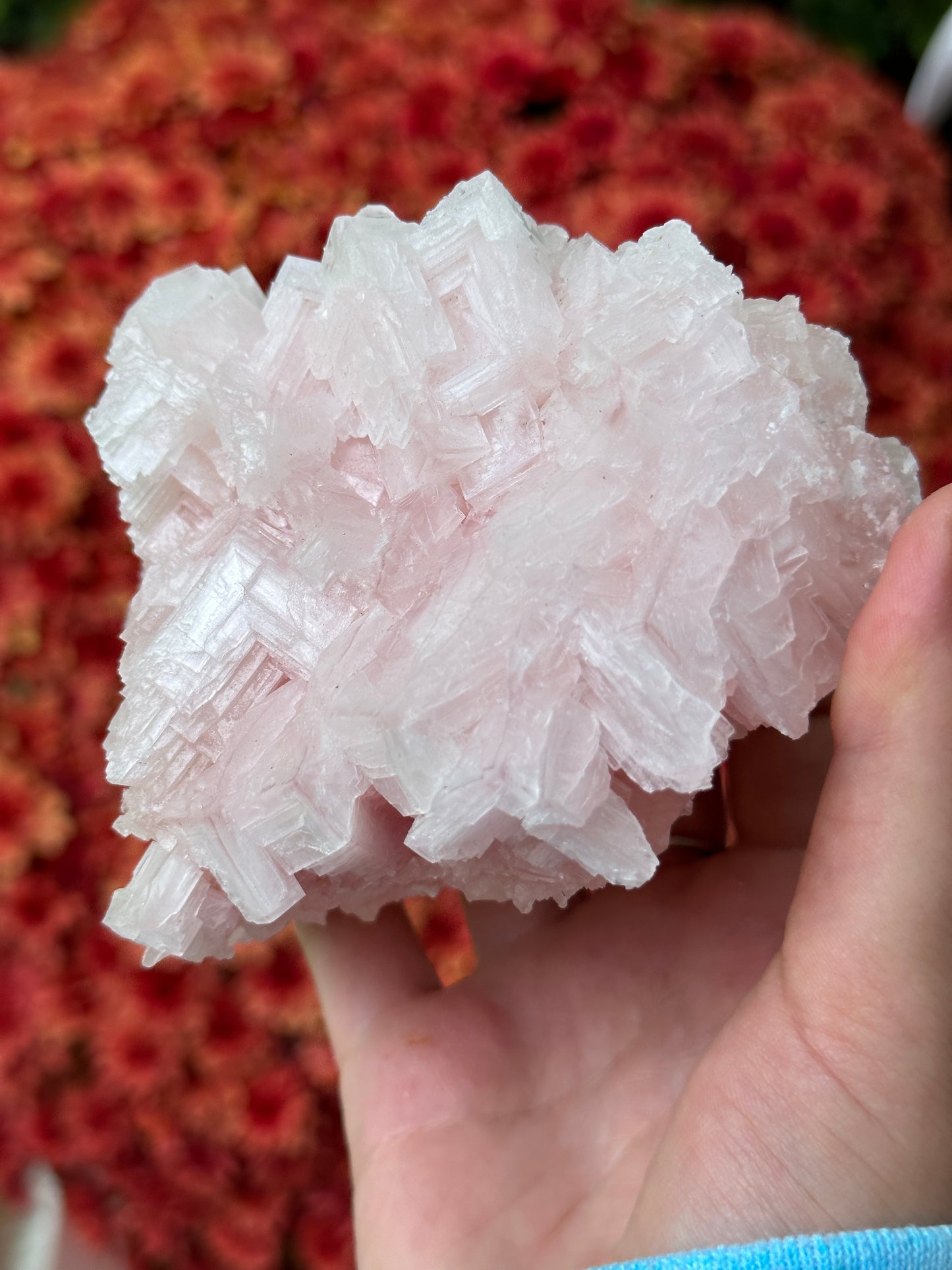 Pink Halite