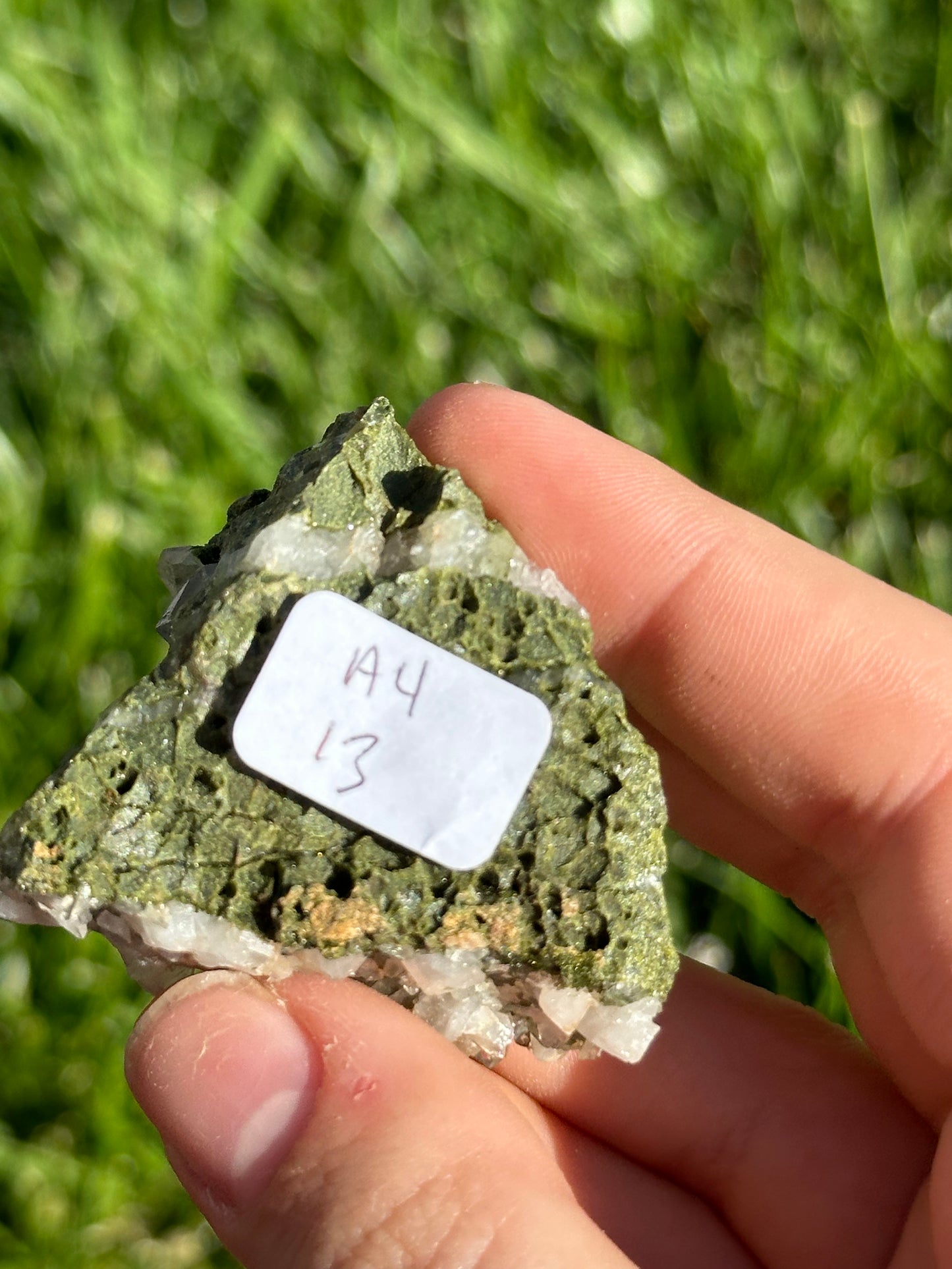 Forest epidote