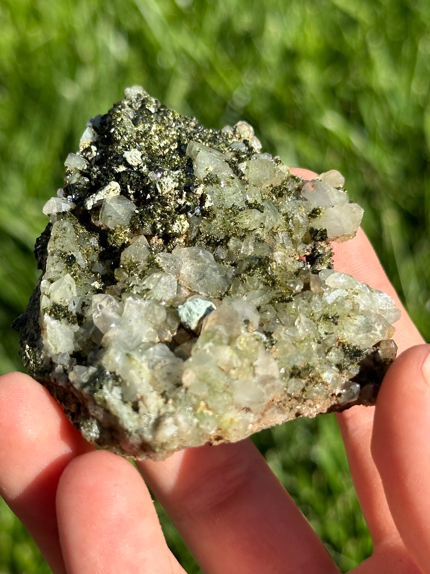Forest Epidote