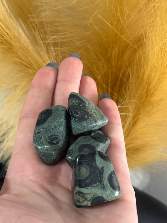 Kambaba Jasper Tumbles