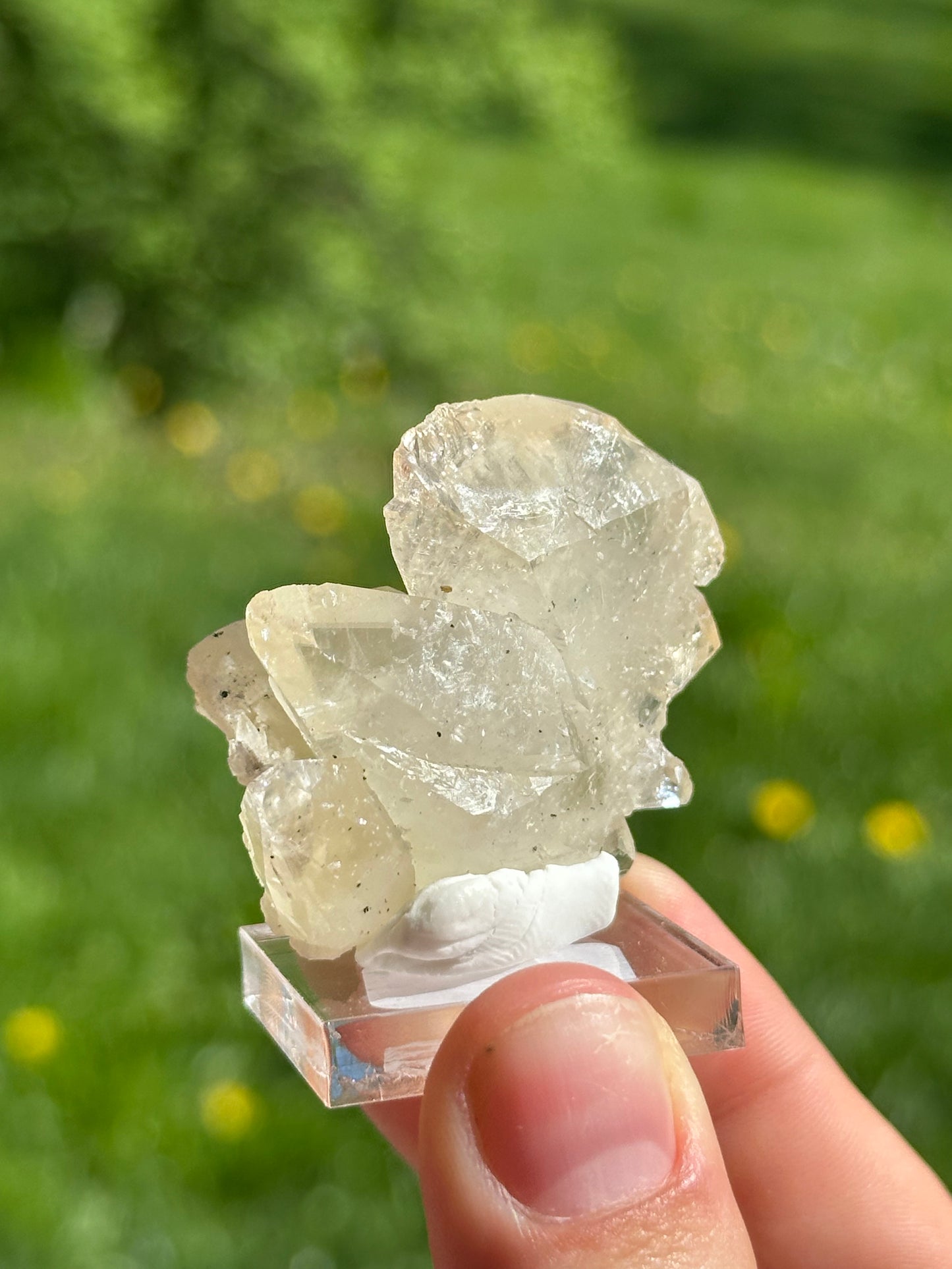 Elmwood calcite