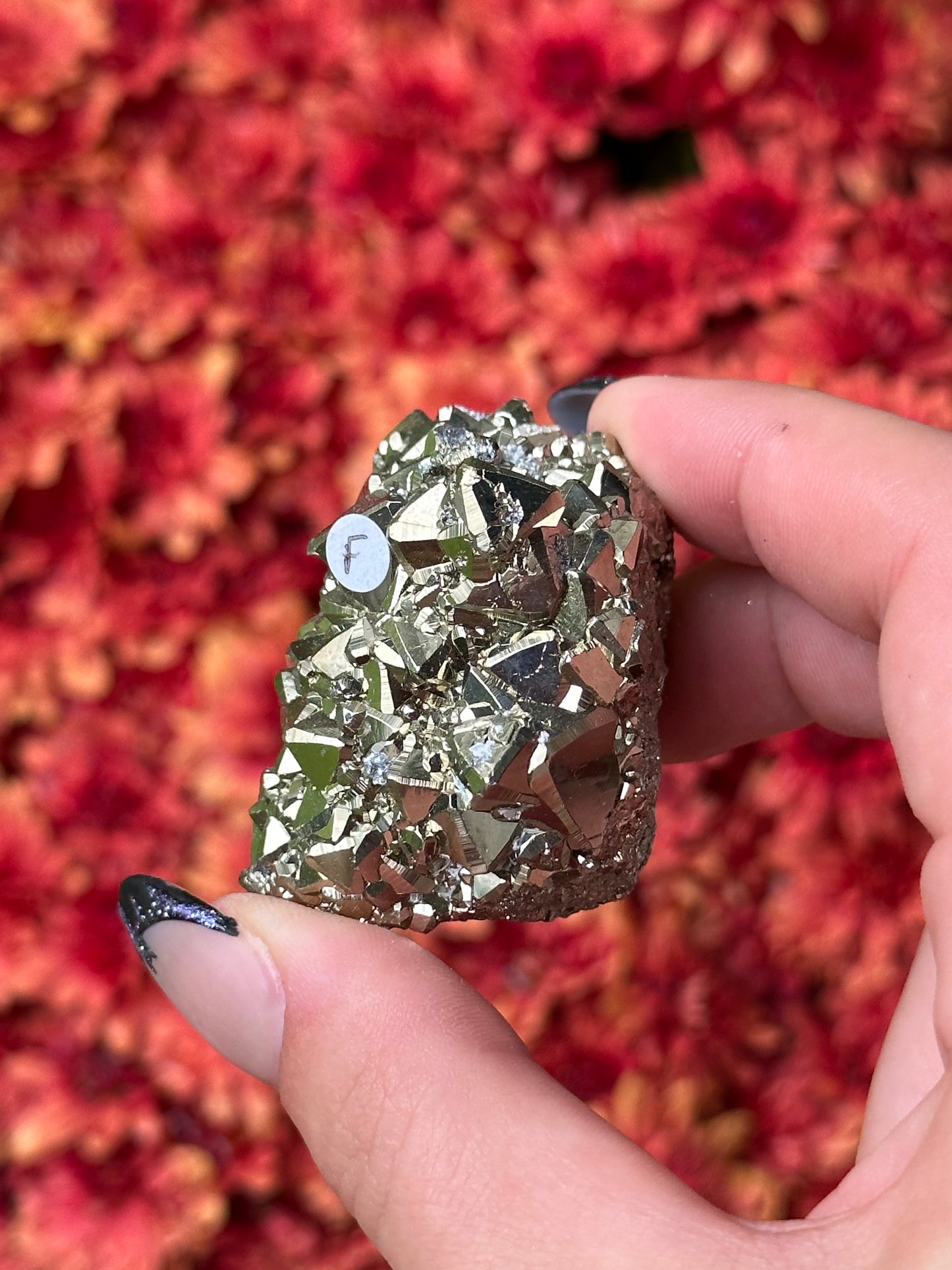 Octahedron Pyrite