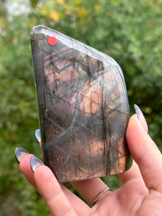 Labradorite Freeform