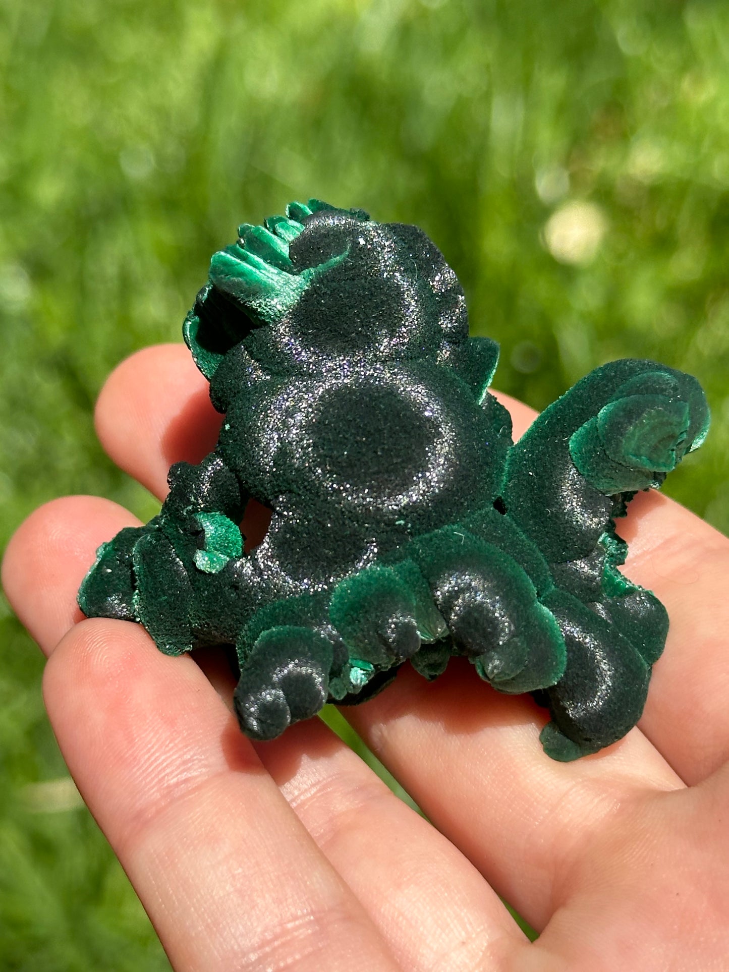 Velvet malachite