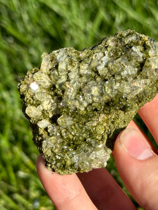 Forest epidote