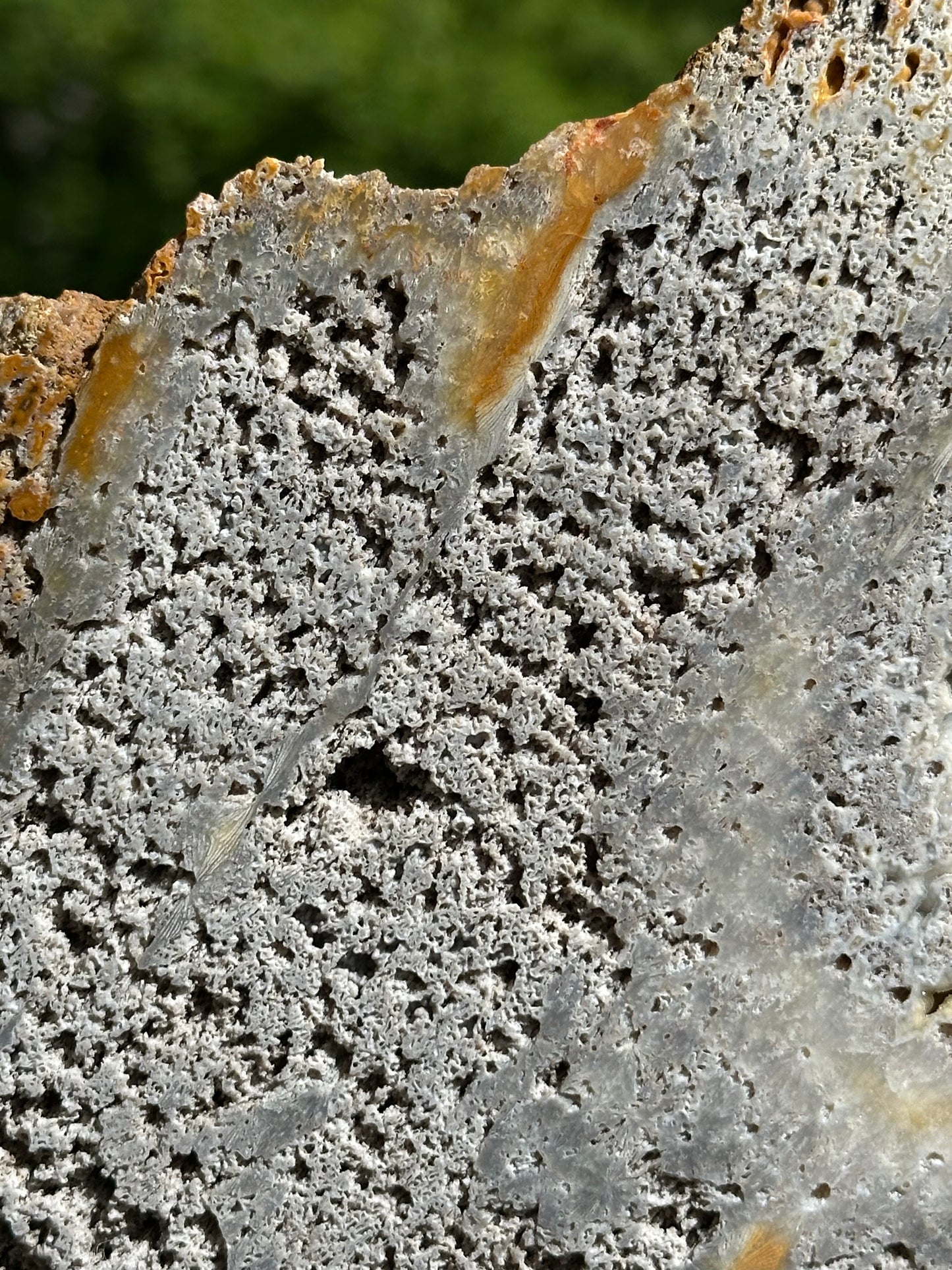 Agatized sparkly coral