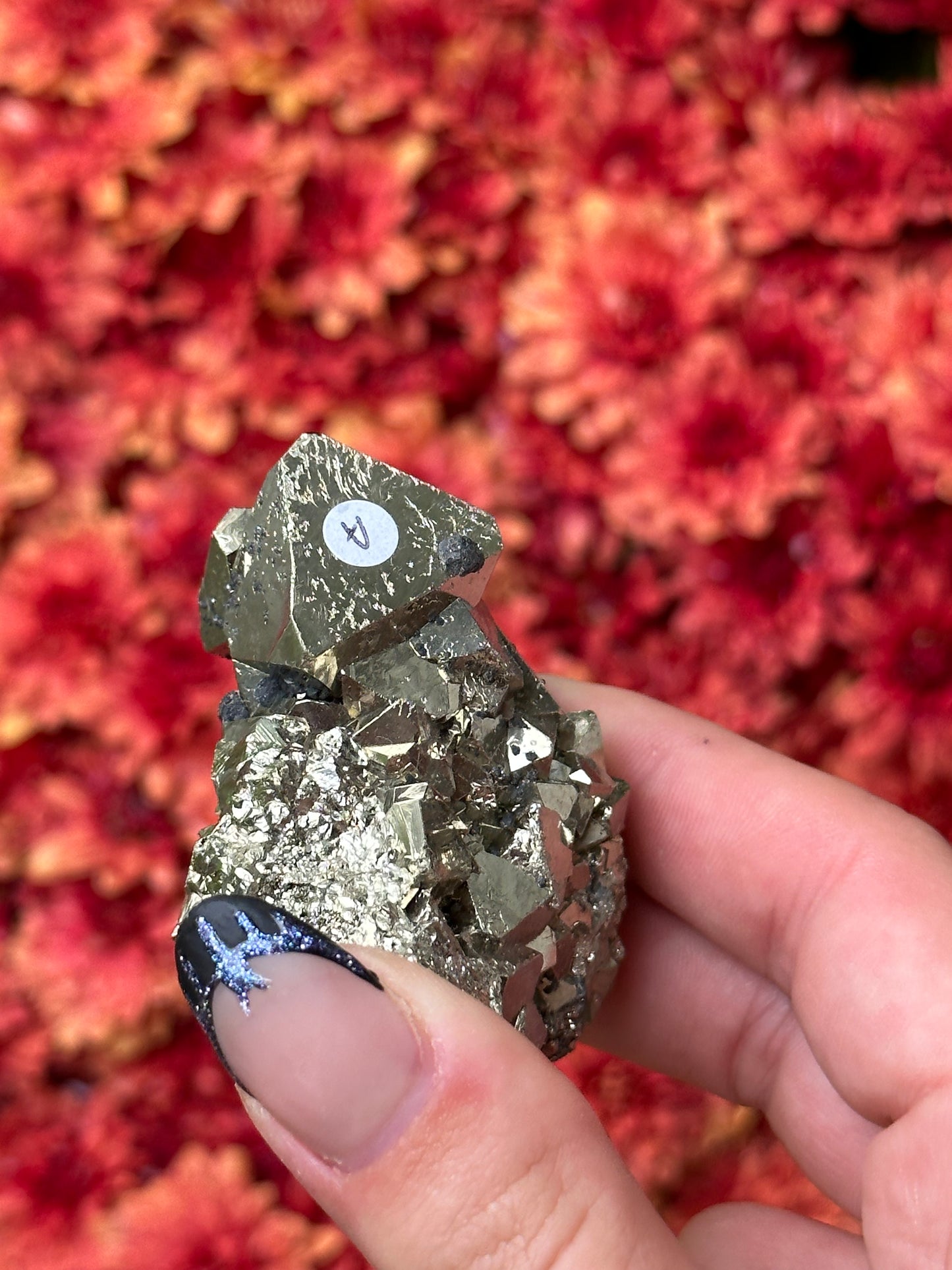 Octahedron Pyrite