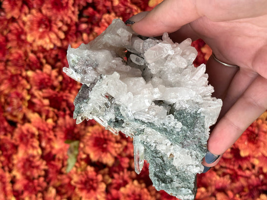 Quartz with Chlorite
