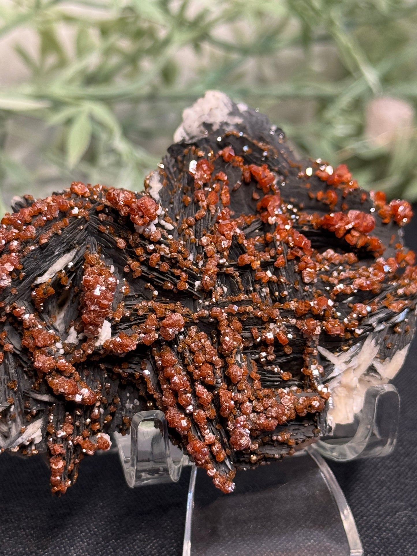 Vanadinite on black barite- Morocco