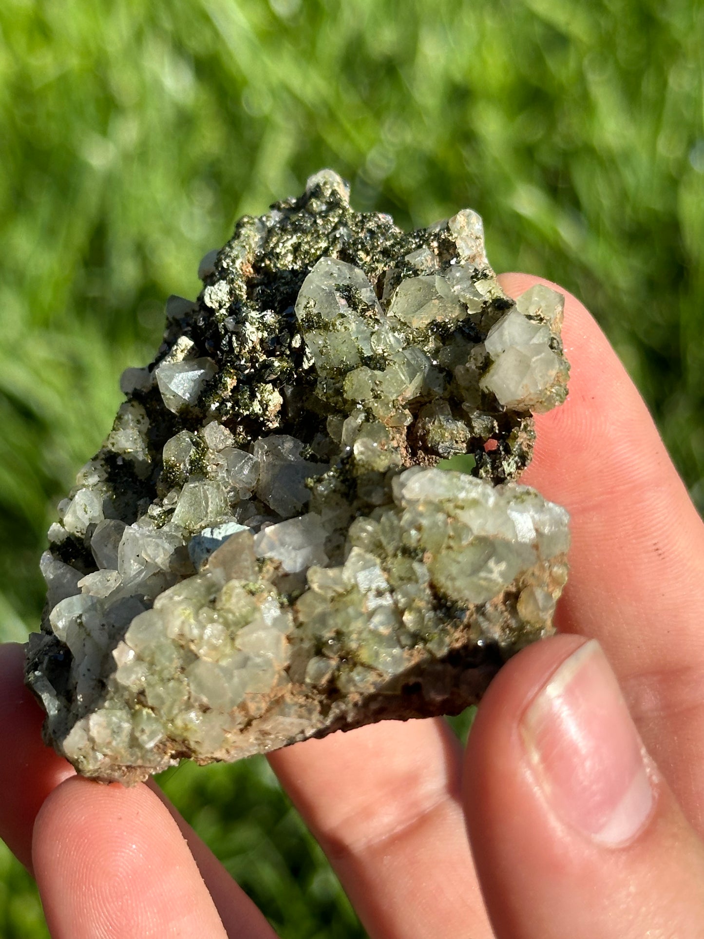 Forest Epidote