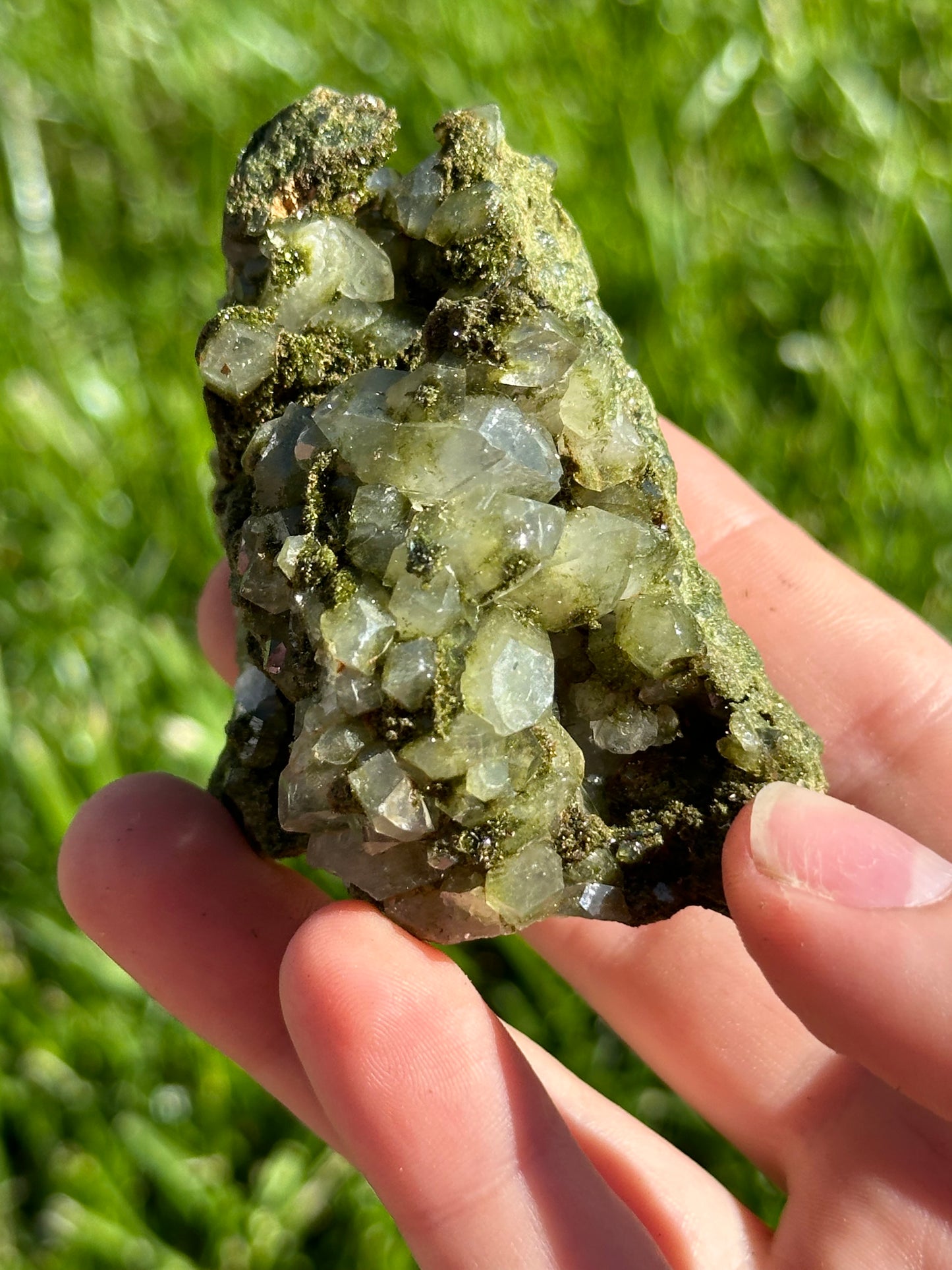 Forest epidote