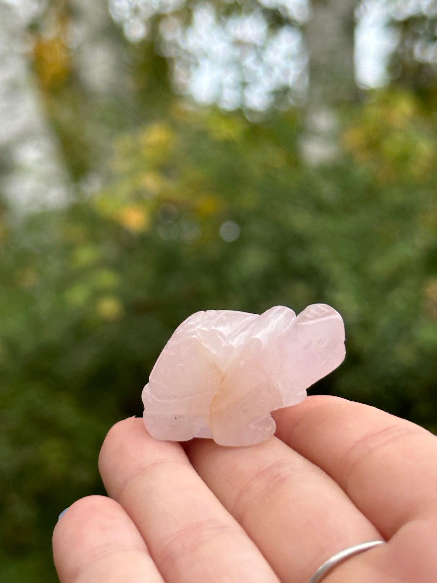 Rose Quartz Mini Turtle