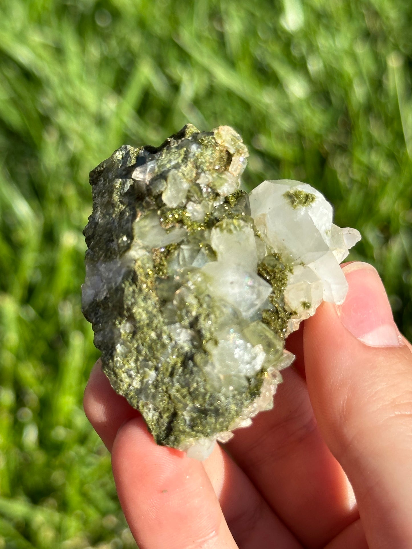 Forest epidote