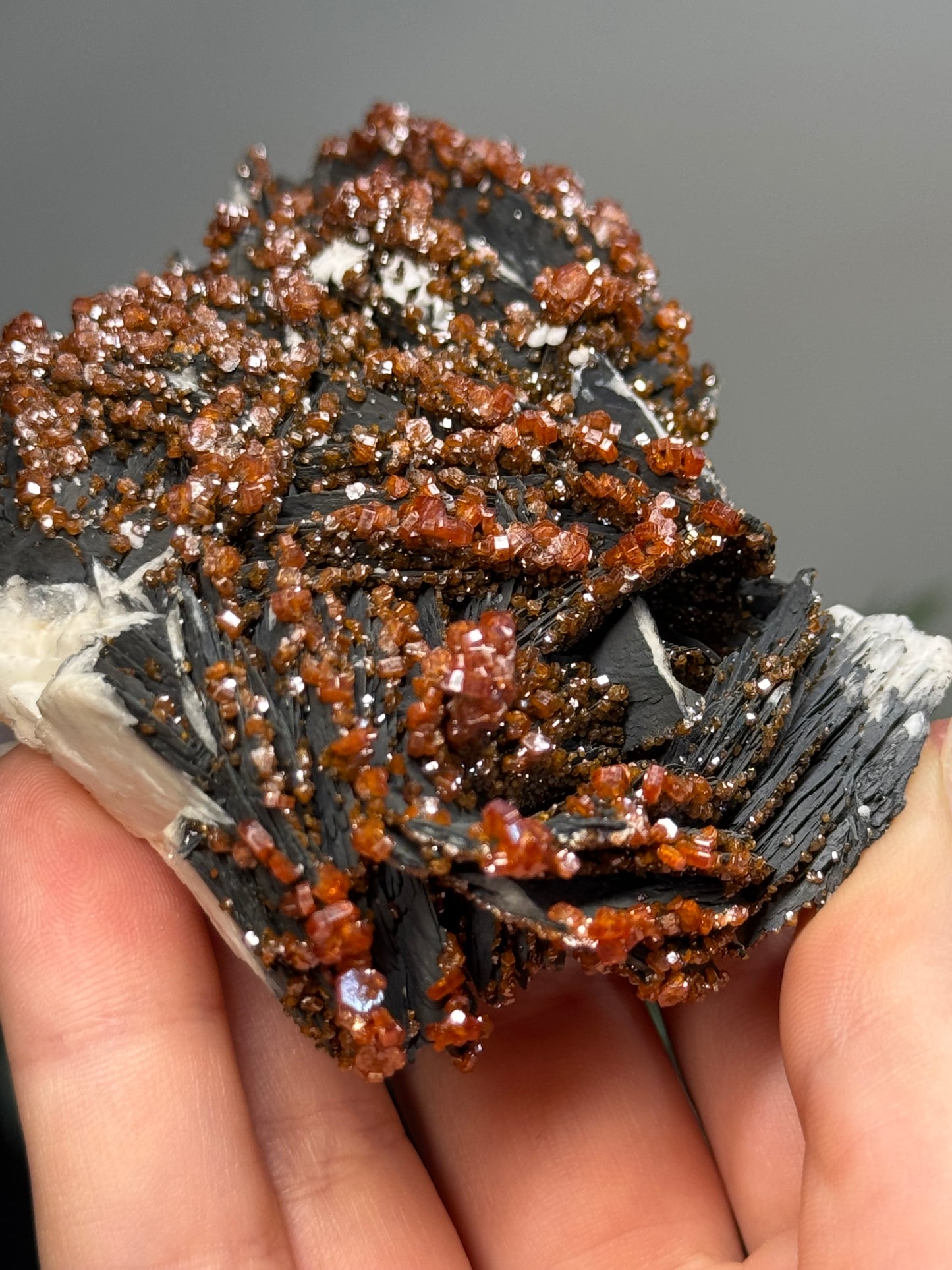 Vanadinite on black barite- Morocco