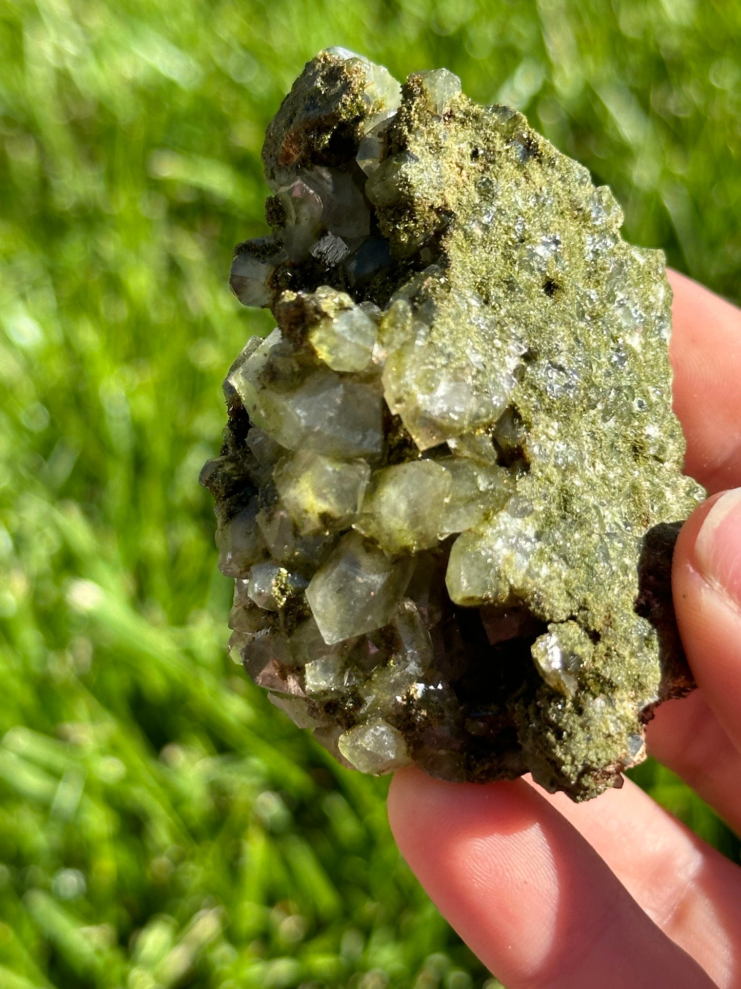 Forest epidote