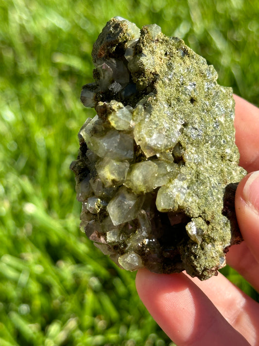 Forest epidote