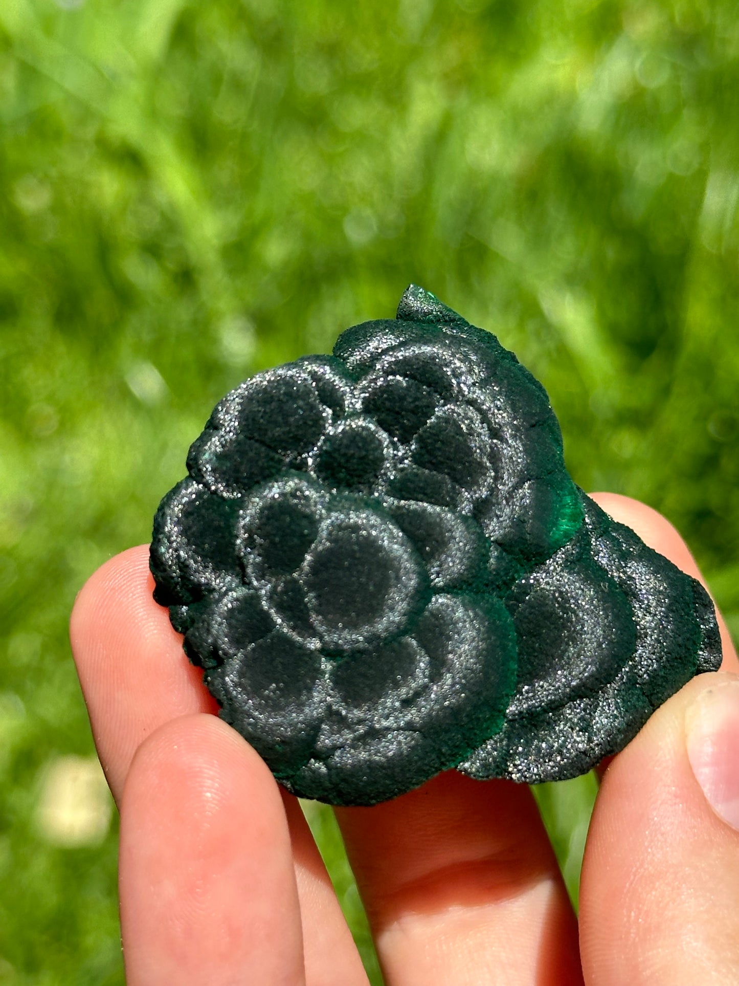 Velvet malachite