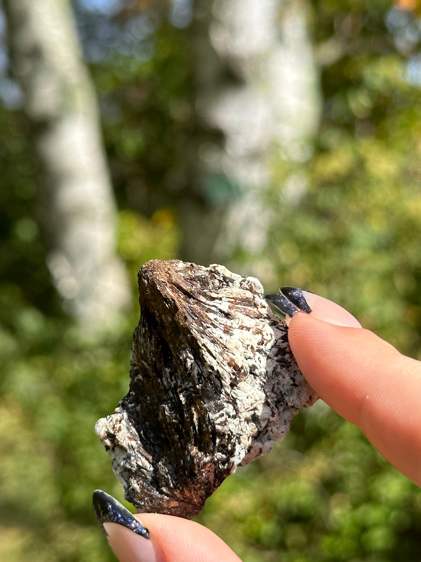 Astrophyllite