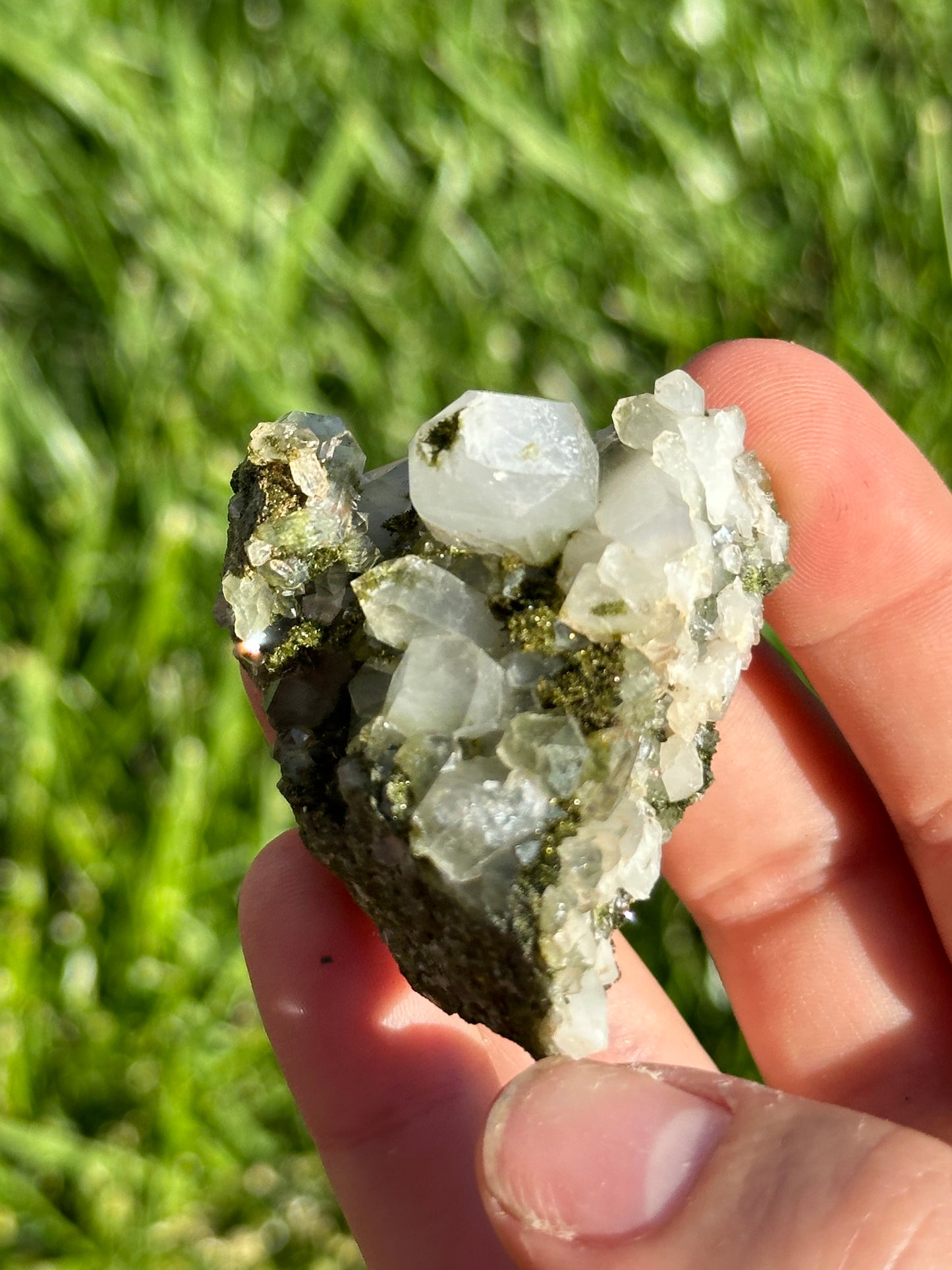 Forest epidote