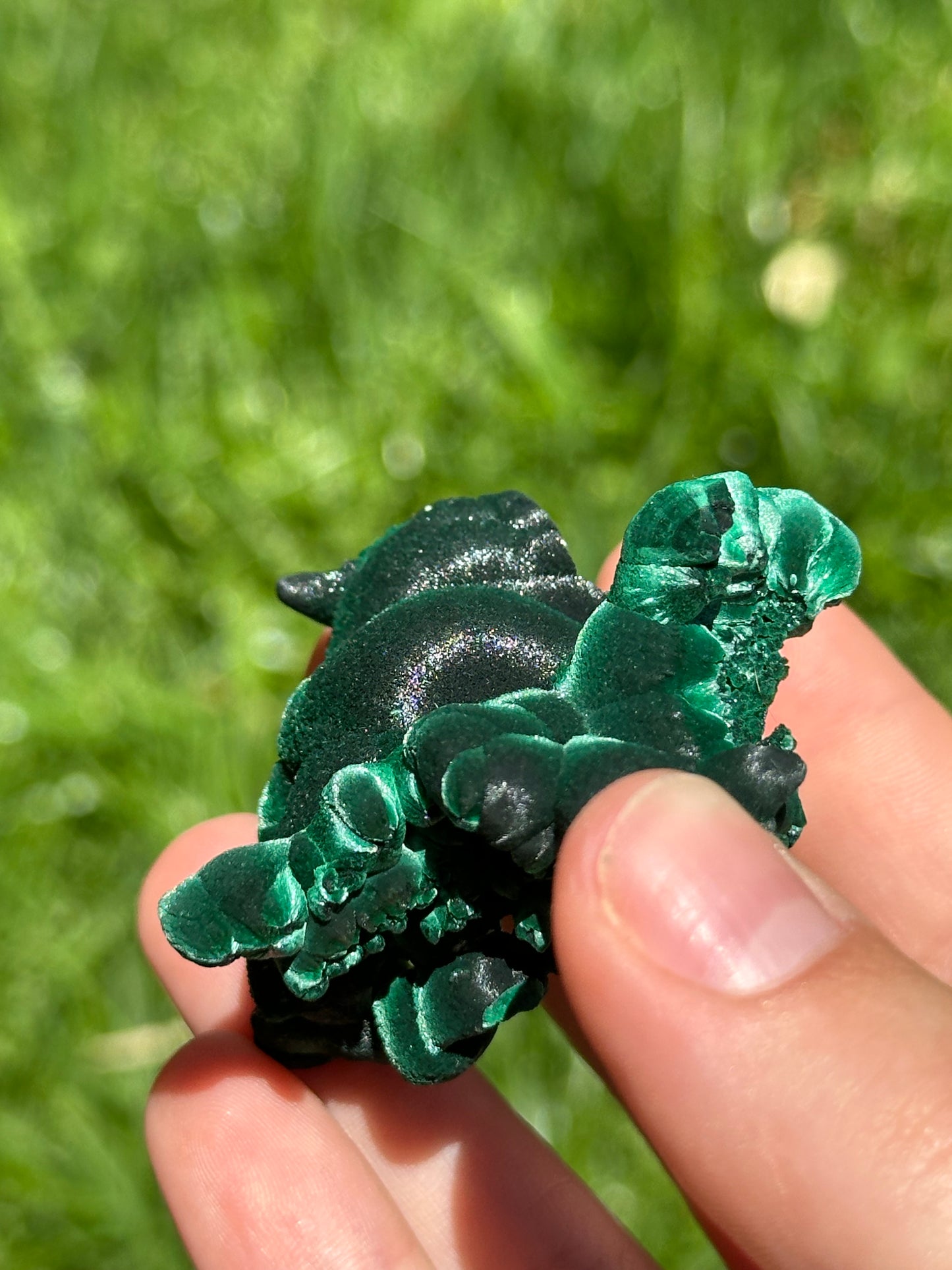 Velvet malachite