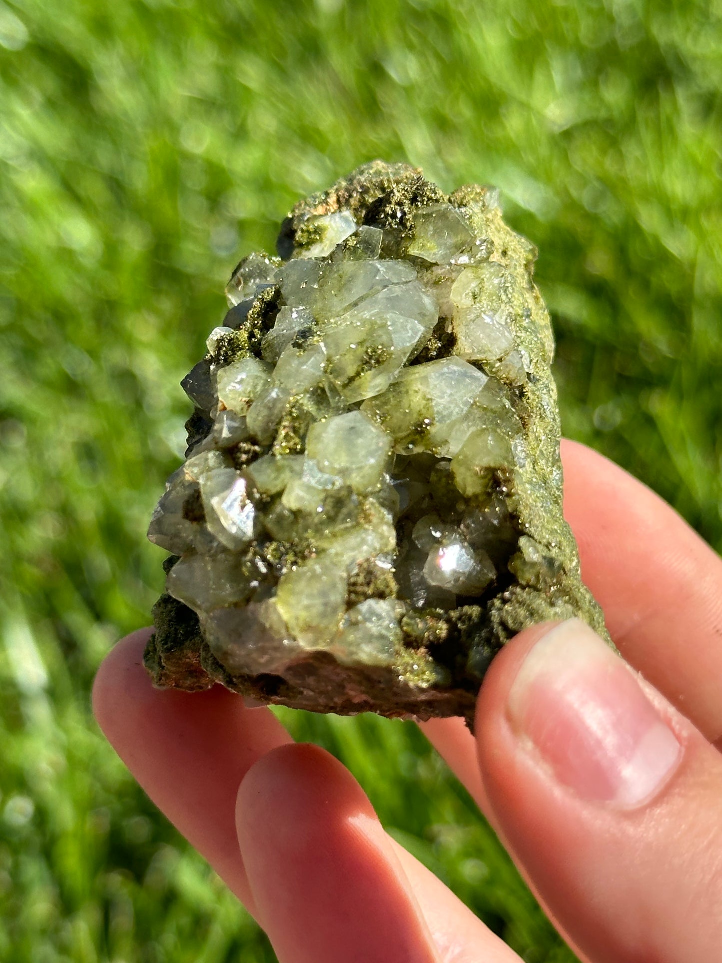 Forest epidote