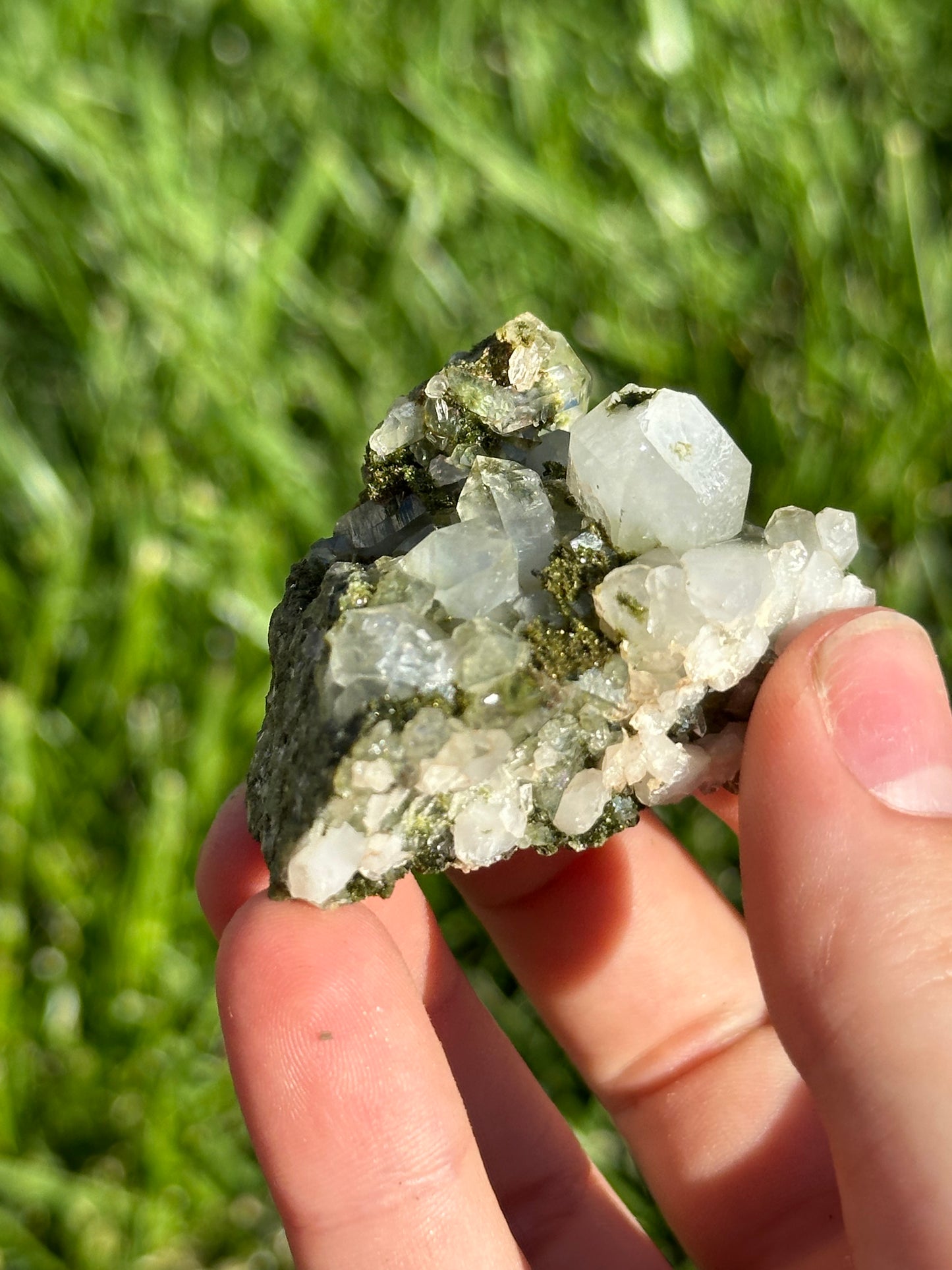 Forest epidote